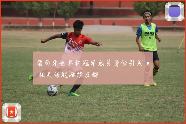 葡萄牙世界杯冠军成员身份引关注 相关话题延续发酵