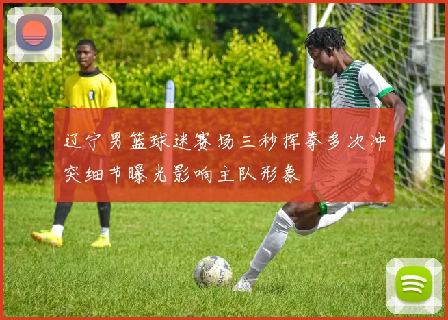 辽宁男篮球迷赛场三秒挥拳多次冲突细节曝光影响主队形象