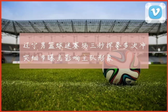 辽宁男篮球迷赛场三秒挥拳多次冲突细节曝光影响主队形象