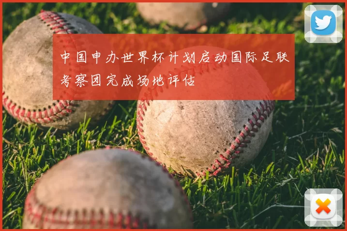 中国申办世界杯计划启动国际足联考察团完成场地评估