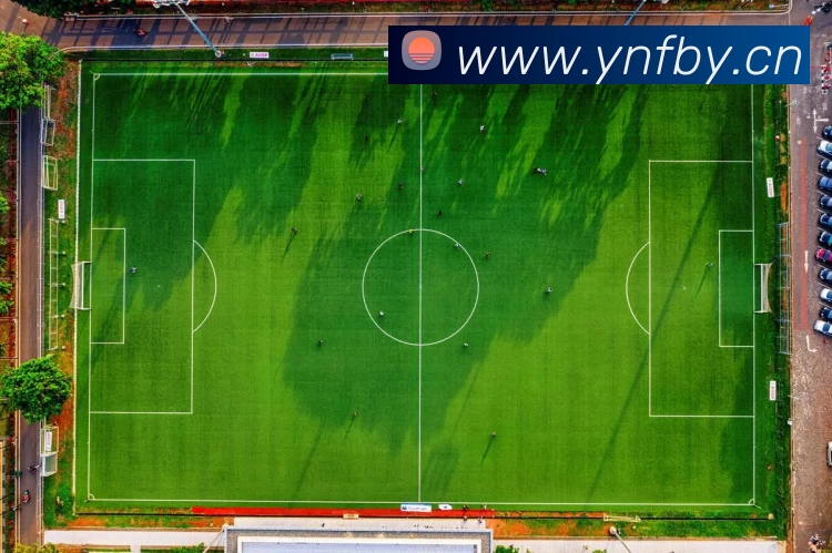 App Interface Preview